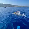 La traversata dello Stretto di Messina