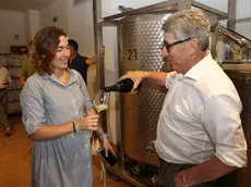 Villa Minelli, la sfida enologica di Luciano Benetton: la presentazione nella nuova etichetta
