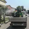 Interventi di disinfestazione contro le zanzare