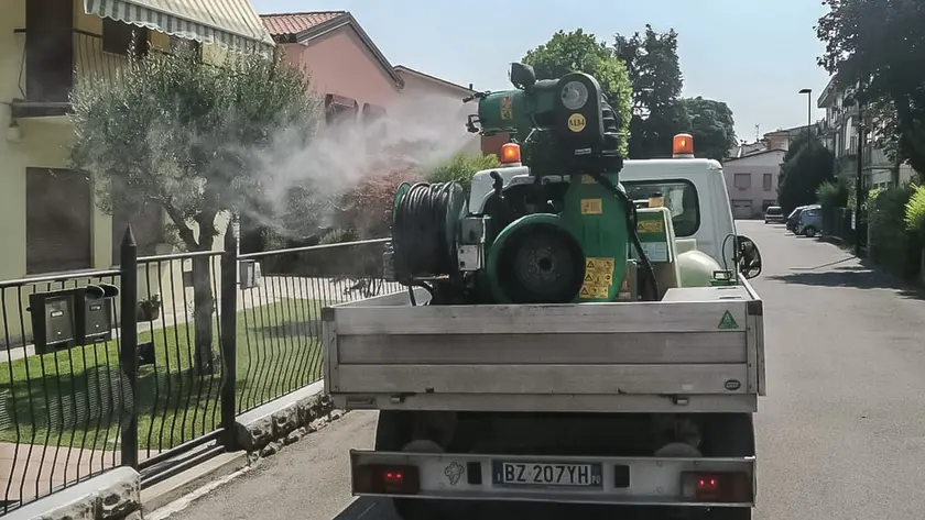 Interventi di disinfestazione contro le zanzare
