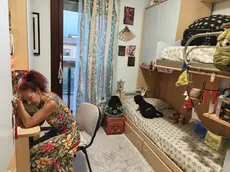 La mamma di Alex Marangon nella camera del ragazzo, morto un anno fa a Vidor