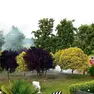 Il fumo causato dall’incendio alla balla di fieno su un campo a Legnaro
