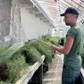 Viaggio nella Gardineria di Padova