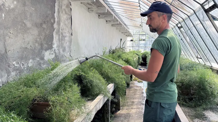Viaggio nella Gardineria di Padova