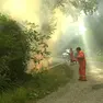 Forestali impegnati a spegnere un incendio