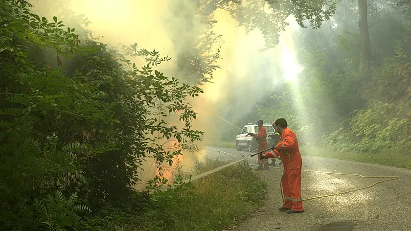 Forestali impegnati a spegnere un incendio