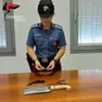 I coltelli sequestrati all'uomo