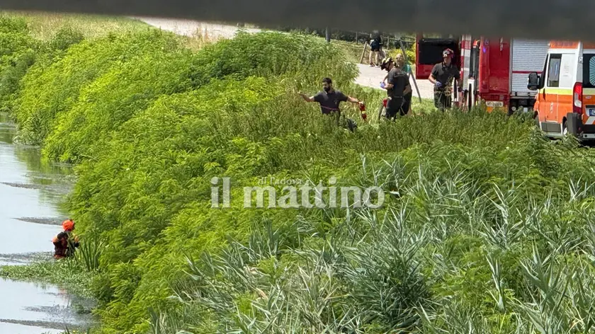 Il recupero del corpo dell'uomo nel fiume da parte dei vigili del fuoco (foto Piran)