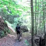 Escursionista su un sentiero con il proprio cane