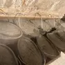 Nei fanghi delle terme ci sono i cianobatteri