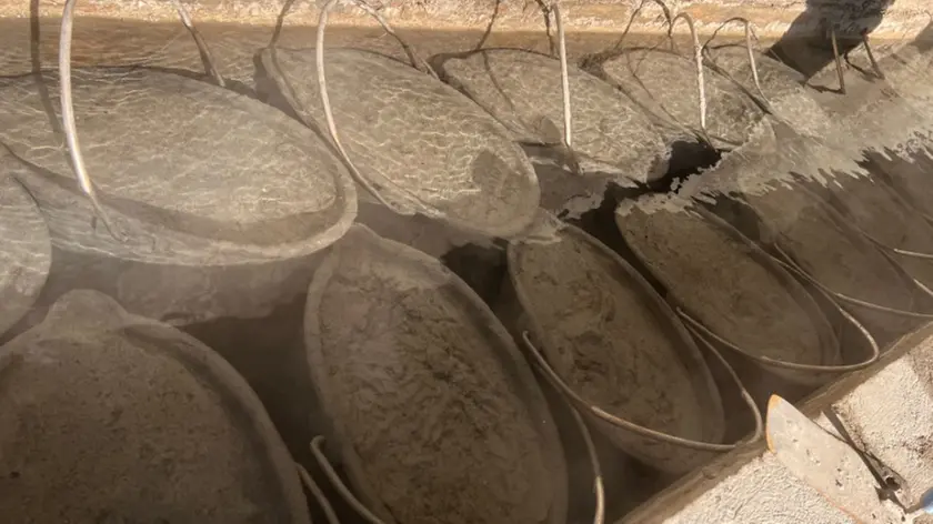 Nei fanghi delle terme ci sono i cianobatteri