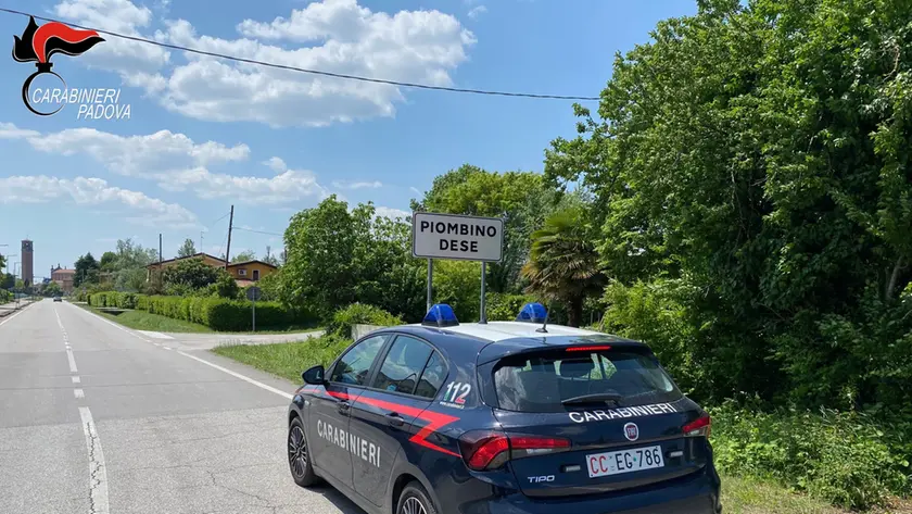Serra di marijuana in casa: arrestato 42enne nel Padovano