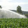 Veneto, più carburante agevolato per l’irrigazione agricola: assegnazione straordinaria da Avepa