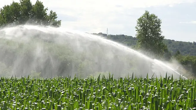 Veneto, più carburante agevolato per l’irrigazione agricola: assegnazione straordinaria da Avepa