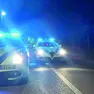 Le auto di servizio della polizia locale