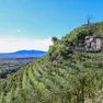 Nome 'prosecco' su cosmetici, bloccati in Polonia prodotti Usa