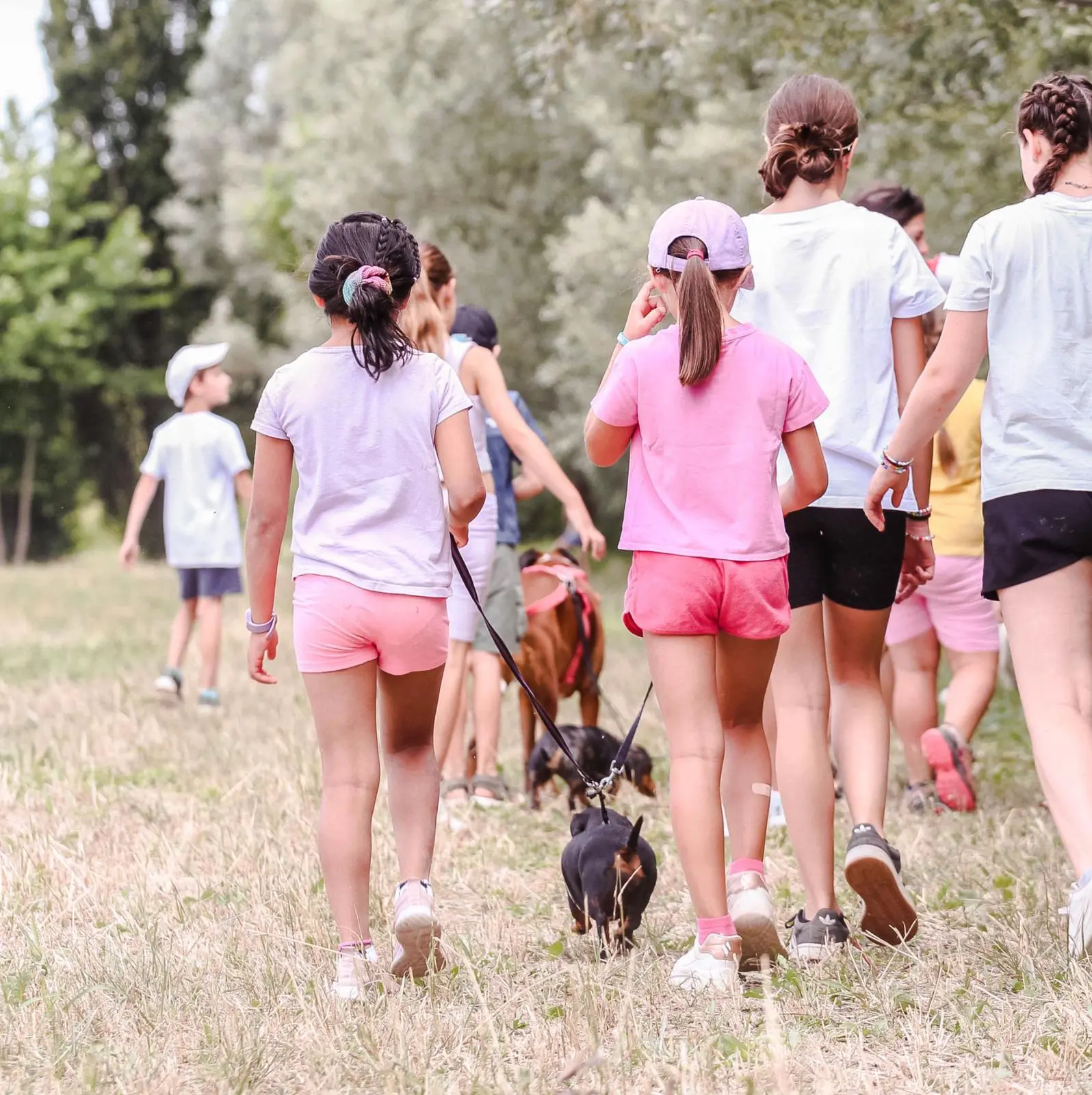 PlayPet Padova