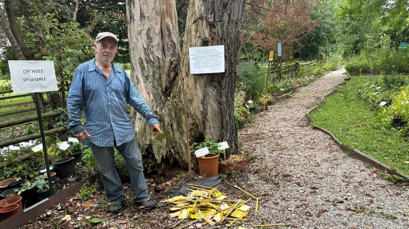 Gastone Cusin, 81 anni, il volontario che da oltre dieci anni custodisce il Giardino Botanico del Parco Buzzaccarini di Monselice