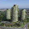 Zairo Urban Forest