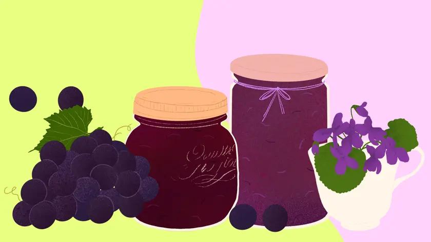 Una immagine del libro sulle marmellate