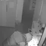 Un ladro intento a rubare in casa