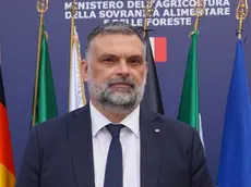 Il coordinatore veneto di Fratelli d’Italia, Luca De Carlo