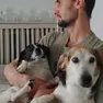 Pongo e Pepe inseparabili