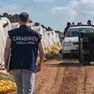 Il blitz dei carabinieri contro il caporalato