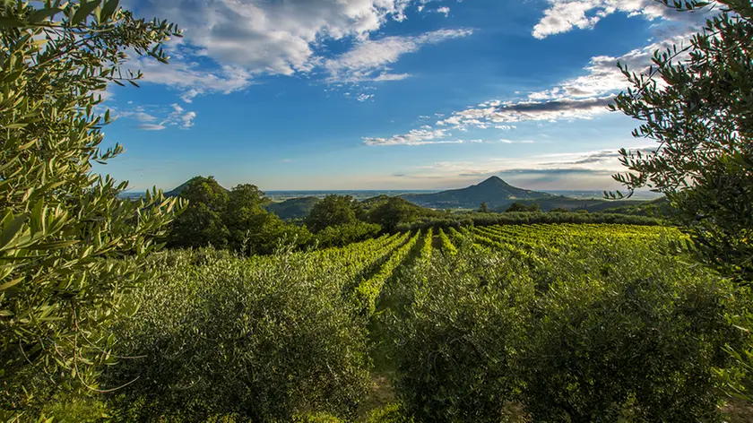 Uno scorcio sui Colli Euganei: secondo l'analisi di Crosta potrebbero essere valorizzati di più