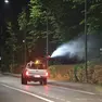 Il trattamento di disinfestazione