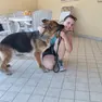 Emergenza abbandoni al canile di Piazzola
