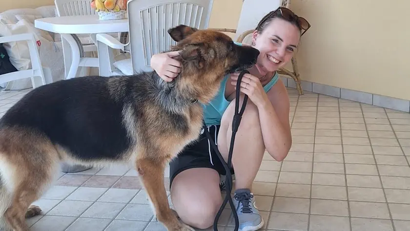 Emergenza abbandoni al canile di Piazzola