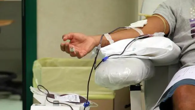 Paziente affetto dal virus chikungunya