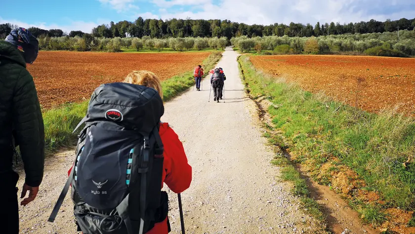 Turisti camminano verso Monteriggioni