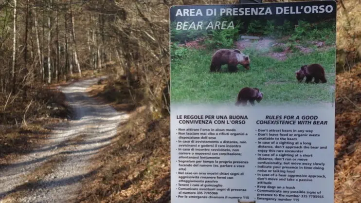 Lo spray anti-orso sarà disponibile anche per la polizia locale di Friuli Venezia Giulia e delle province autonome di Trento e Bolzano