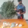 Il materiale sequestrato dai carabinieri