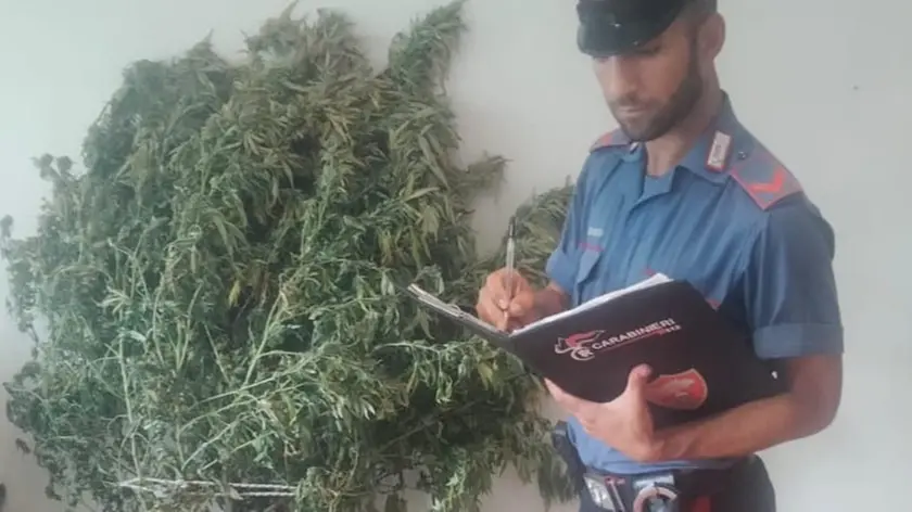 Il materiale sequestrato dai carabinieri
