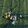 Due i freriti in seguito allo schianto dell'ultraleggero. Foto Daniele Macca