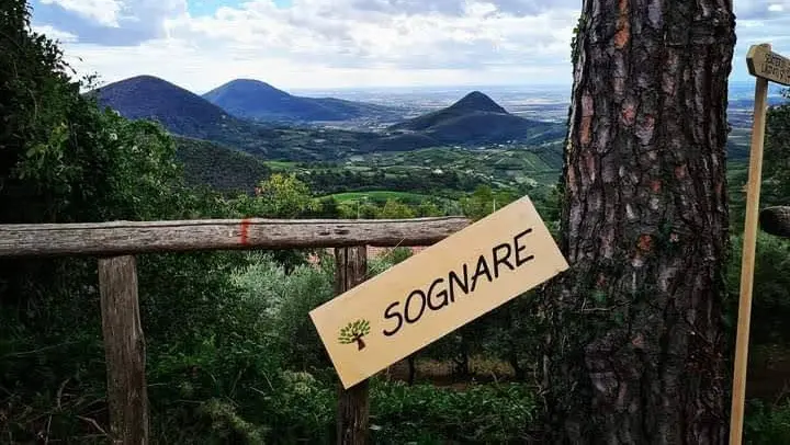 Il percorso “Laudato Sì” sui Colli Euganei, partendo dalla chiesetta di San Pietro a Faedo