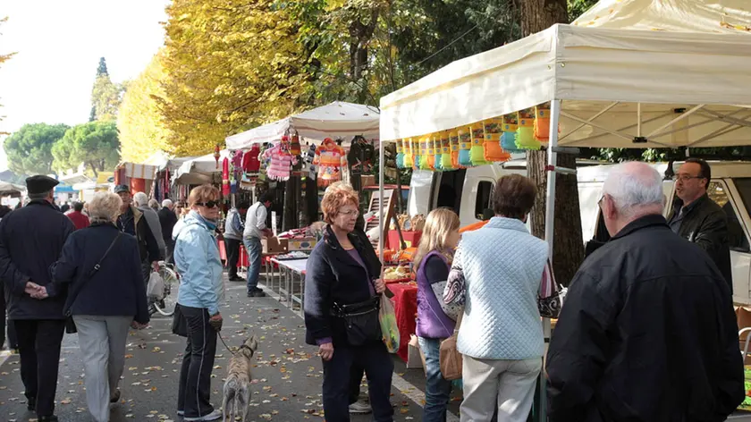 Dal 23 ottobre torna la sagra del Folpo a Noventa
