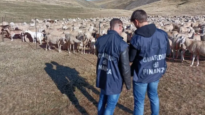 La Guardia di Finanza di Padova ha denunciato 48 imprenditori agricoli per truffa aggravata