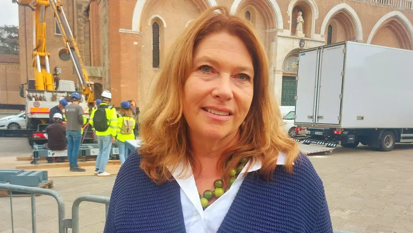 Melissa Conn (Save Venice)