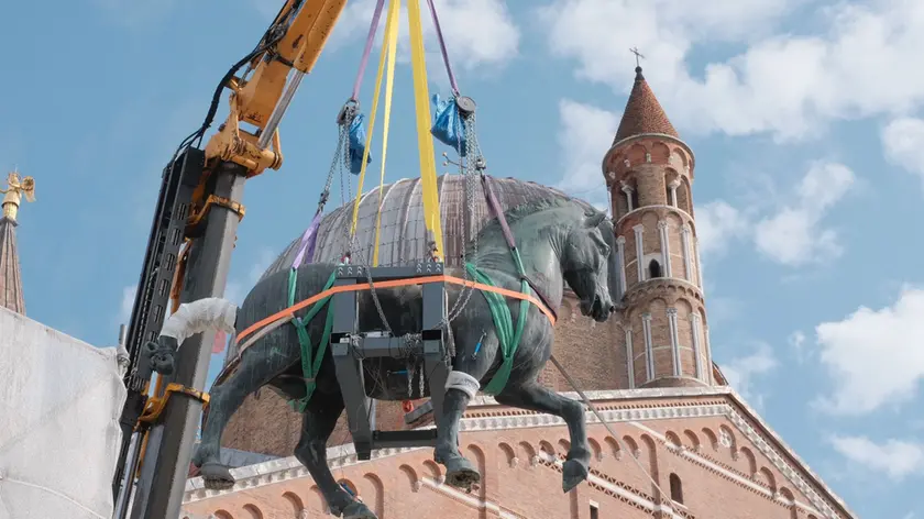 Le operazioni sul cavallo del Gattamelata