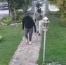 I malviventi assaltano la villetta