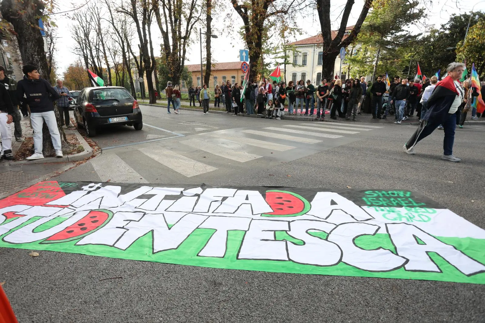 Migliaia di persone con la bandiera della Palestina che sventola e dà il via: è partito da piazza della Repubblica il corteo ProPal. I manifestanti attraverseranno il centro di Udine per dirigersi in piazza Primo Maggio. "Free Palestine", "fermate il genocidio" tra i cori dei partecipanti all'evento che, secondo gli organizzatori, sono oltre 10 mila.