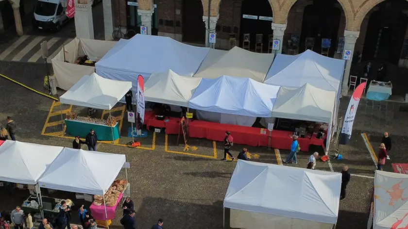 Rubato e restituito dai carabinieri l'incasso dello stand della Pro Loco di Montagnana