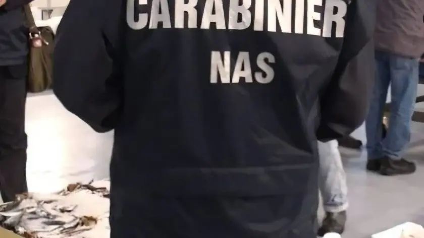 Il blitz del Nas alla Fiera del Folpo