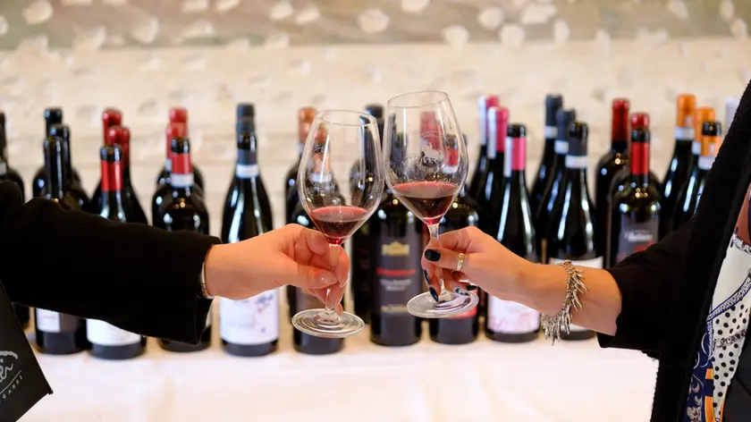 Colli Euganei Doc, nome unico ai Rossi: «Diamo maggiore identità al territorio»