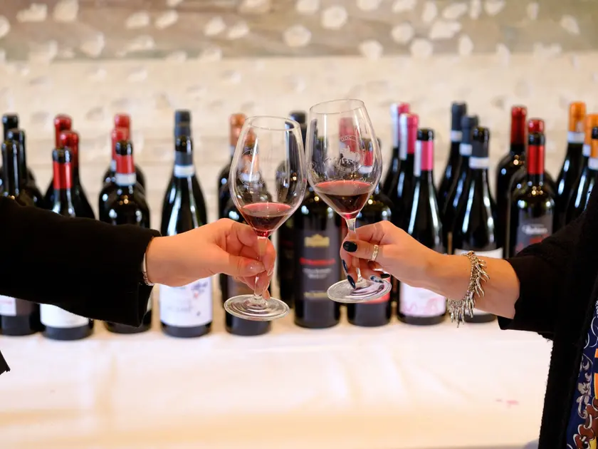 Colli Euganei Doc, nome unico ai Rossi: «Diamo maggiore identità al territorio»