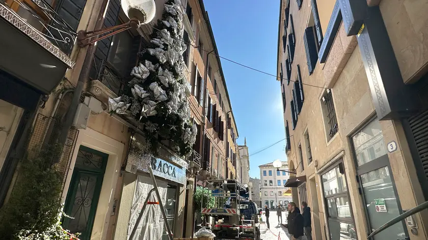 L'albero di Natale di Racca
